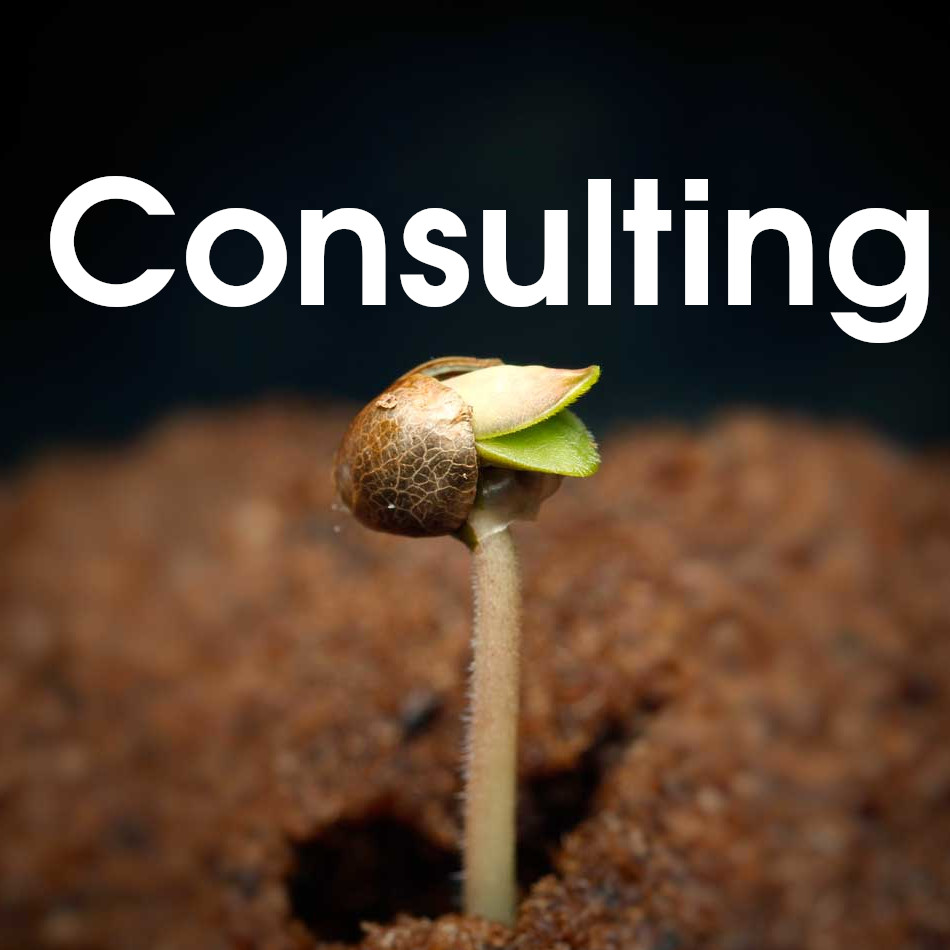 cannabis cultivation consulting